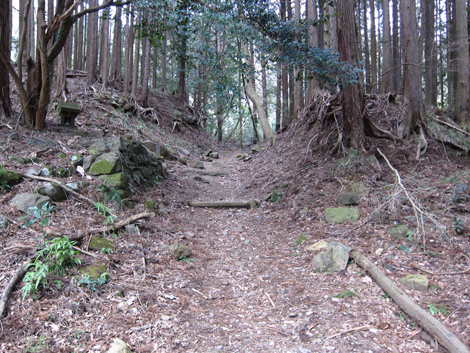 20190214hike (185)